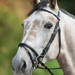 Bridon HFI "Regular"