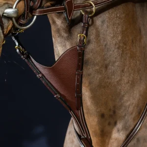 Fourchette de Martingale Plein souple