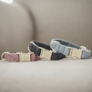 Collier chien "laine wool"