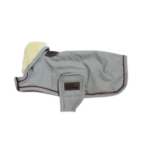 Couverture CHIEN IMPERMÉABLE 160G