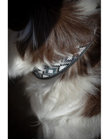 Collier Pénélope Pearl – Image 3