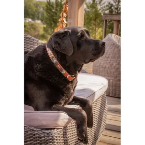 Collier Pénélope Pearl