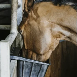 Mangeoire caoutchouc 14L