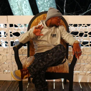 Sweat à capuche homme gris en coton bio