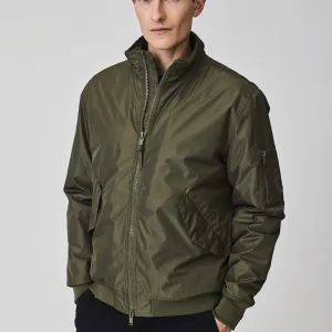 Kataigída Olive Night