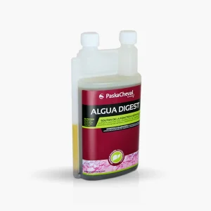 ALGUA DIGEST | PASKACHEVAL