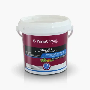 ARGILE + | PASKACHEVAL