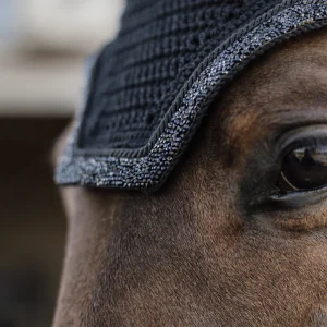 BONNET ANTI-MOUCHE GLITTER STONE | KENTUCKY