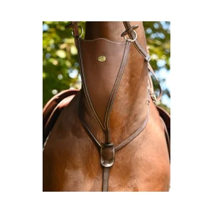 Martingale bib Jump'in