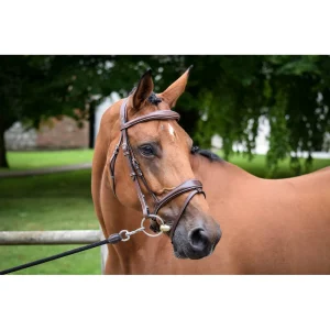 Bridon Jump'In "Bruxelles" - Collection One