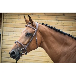 Bridon Jump'In "London" - Collection One