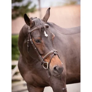 Bridon Jump'in "Crystal" - Collection Week