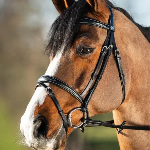 BRIDON ELEGANT | HFI