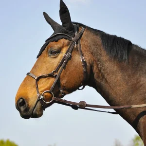 BRIDON EVOLUTION INFINITY | IHWT