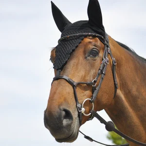 BRIDON ÉVOLUTION INFINITY FRONTAL DISCO | IHWT