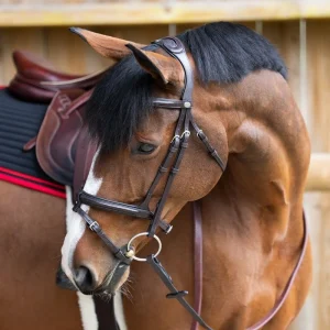 Bridon Jump'in "Evolution" - Gamme Origin