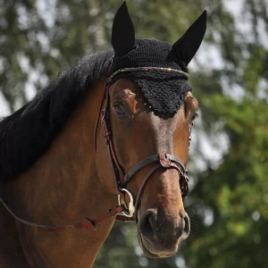 BRIDON EVOLUTION SOFT T DISCO | IHWT