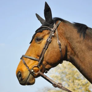 BRIDON EVOLUTION SOFT T | IHWT