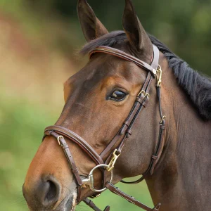 BRIDON FUNCTIONAL | HFI