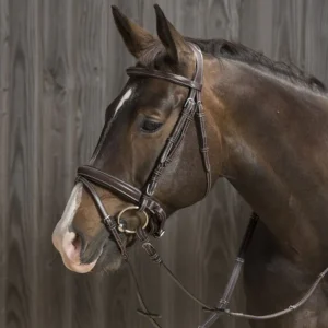 BRIDON GENEVE DUO | PROTANNER