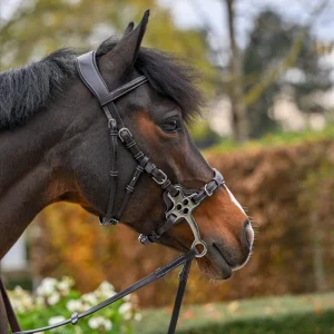 Bridon Jump'in pour Hackamore One prenium