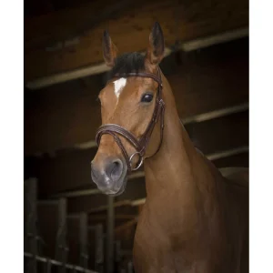 Bridon Norton Pro "Rock"