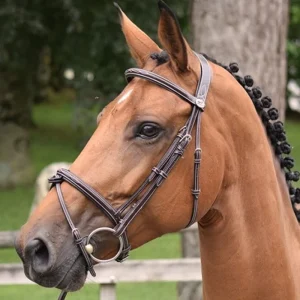 Bridon Jump'in "Thursday" - Collection Week