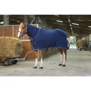 Chemise polaire Riding World "Combo"