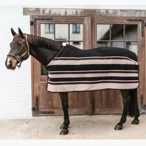 CHEMISE SECHANTE HEAVY | KENTUCKY