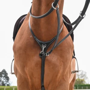Collier de martingale + fourche Jump'in One Prenium