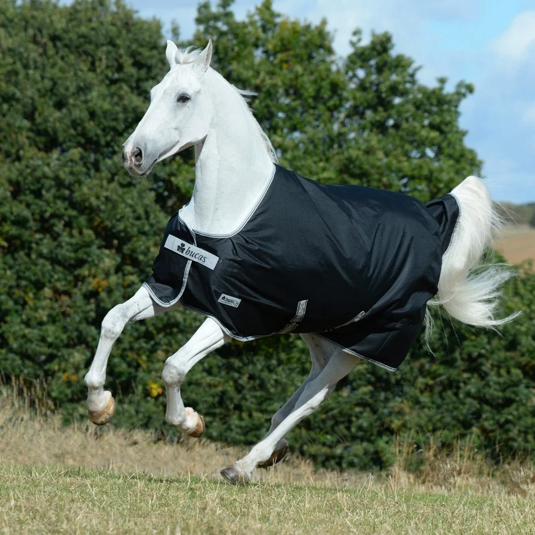 COUVERTURE ANNIVERSARY TURNOUT LIGHT SD | BUCAS – Image 2