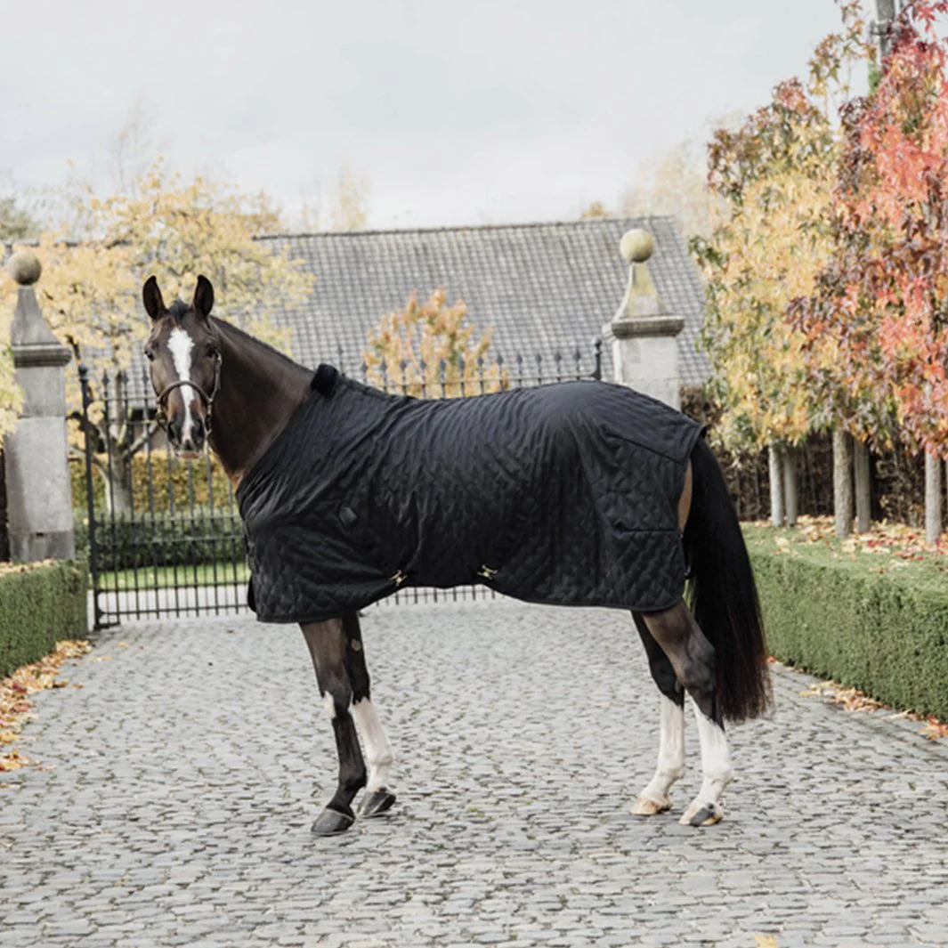 COUVERTURE D’ÉCURIE 0 G | KENTUCKY – Image 6