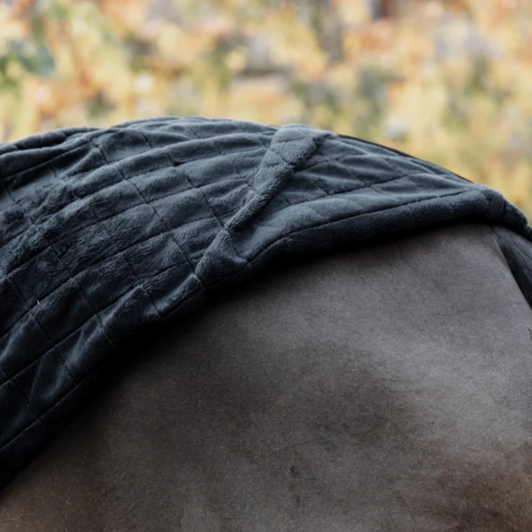 COUVERTURE D’ÉCURIE 0 G | KENTUCKY – Image 7