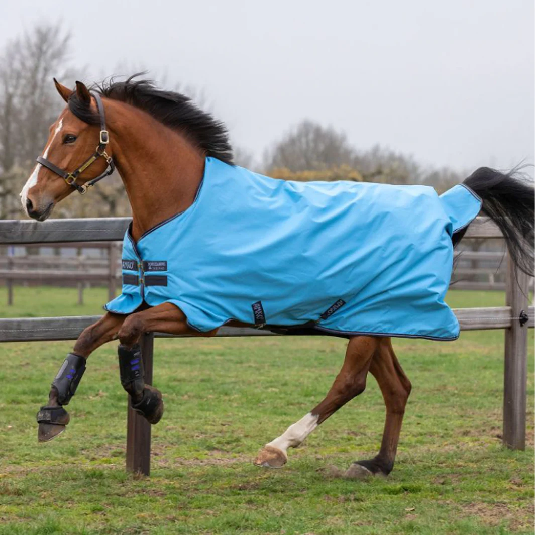 COUVERTURE D'EXTERIEUR AMIGO HERO 900 0GR | HORSEWARE