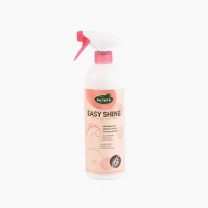 EASY SHINE 750 ML | RAVENE