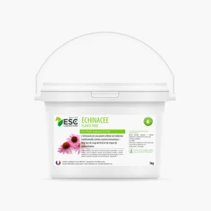 ECHINACEE DEFENSES IMMUNITAIRES | ESC