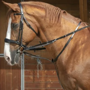 ENRÊNEMENT HOWLETT | NORTON