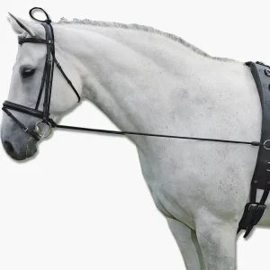 ENRENEMENT PEDAGOGIQUE | WALDHAUSEN