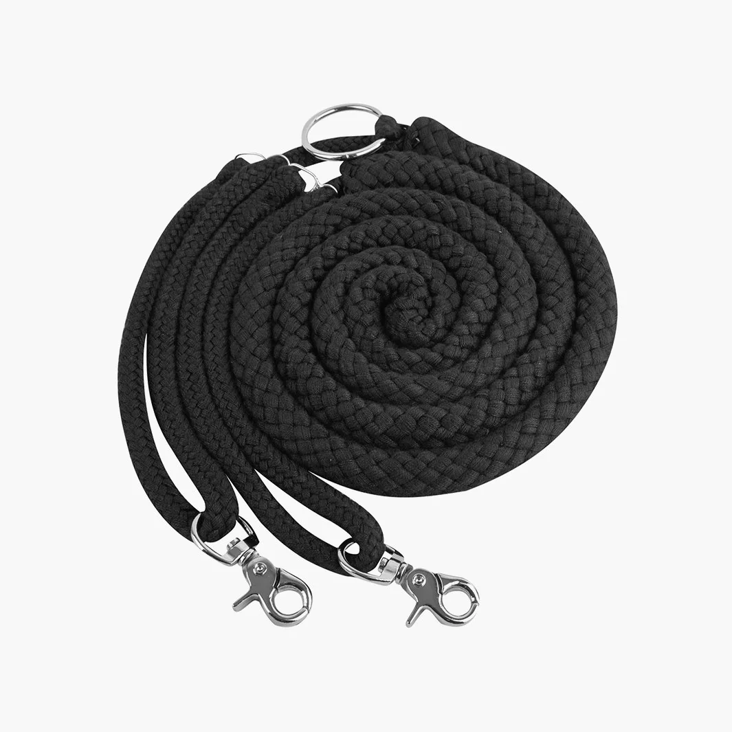 ENRÊNEMENT PELI | WALDHAUSEN – Image 2