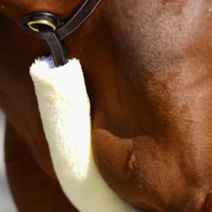 FOURREAU DE COLLIER CHASSE EN MOUTON | KENTUCKY