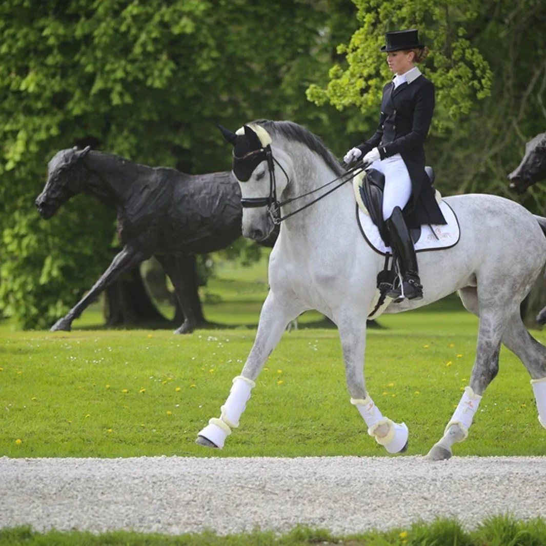 GUÊTRES FERMÉES ANTÉRIEUR CUIR MOUTON | KENTUCKY – Image 3
