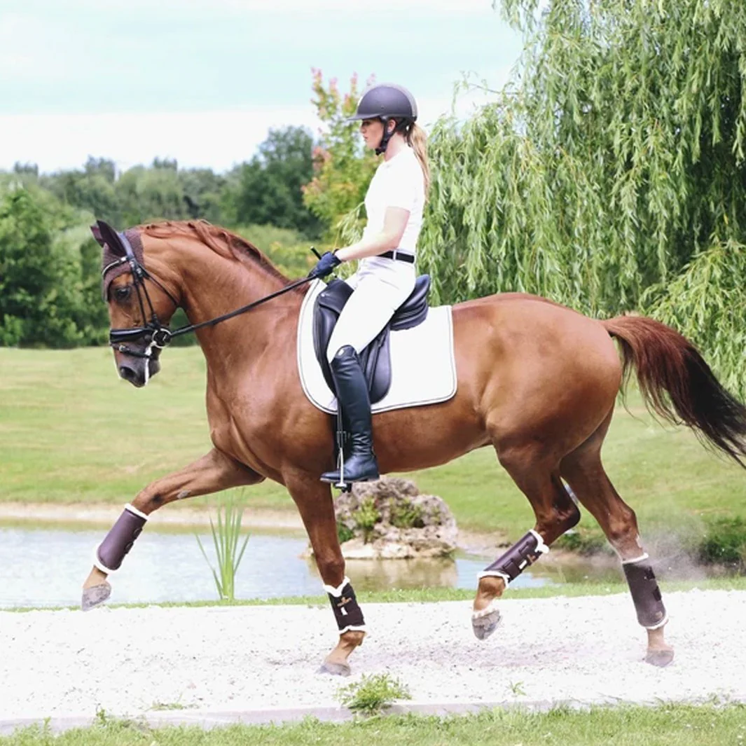 GUÊTRES FERMÉES ANTÉRIEUR CUIR MOUTON | KENTUCKY – Image 6