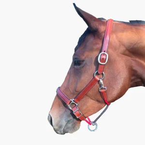 LICOL CLASIC | SILVER CROWN