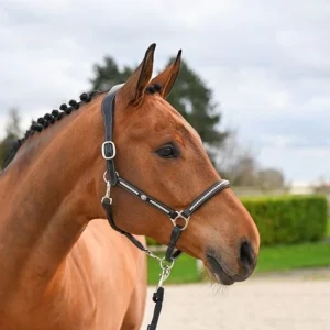 Licol Jump'in "Clincher" - Collection One