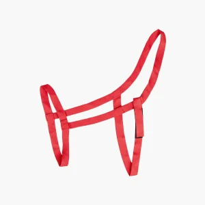 LICOL DE PRAIRIE | WALDAUSEN