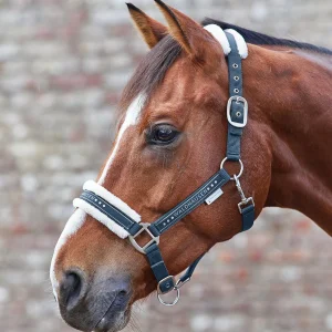 LICOL ELEGANT | WALDHAUSEN