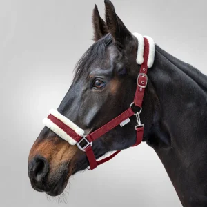 LICOL FIRST  | WALDHAUSEN