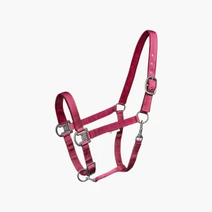 LICOL GLOOMY | WALDHAUSEN