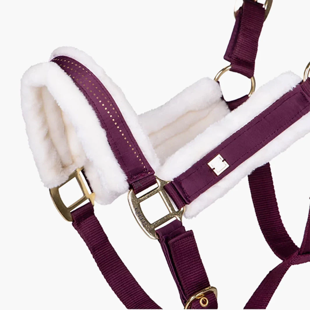 LICOL MENTON | QHP – Image 5