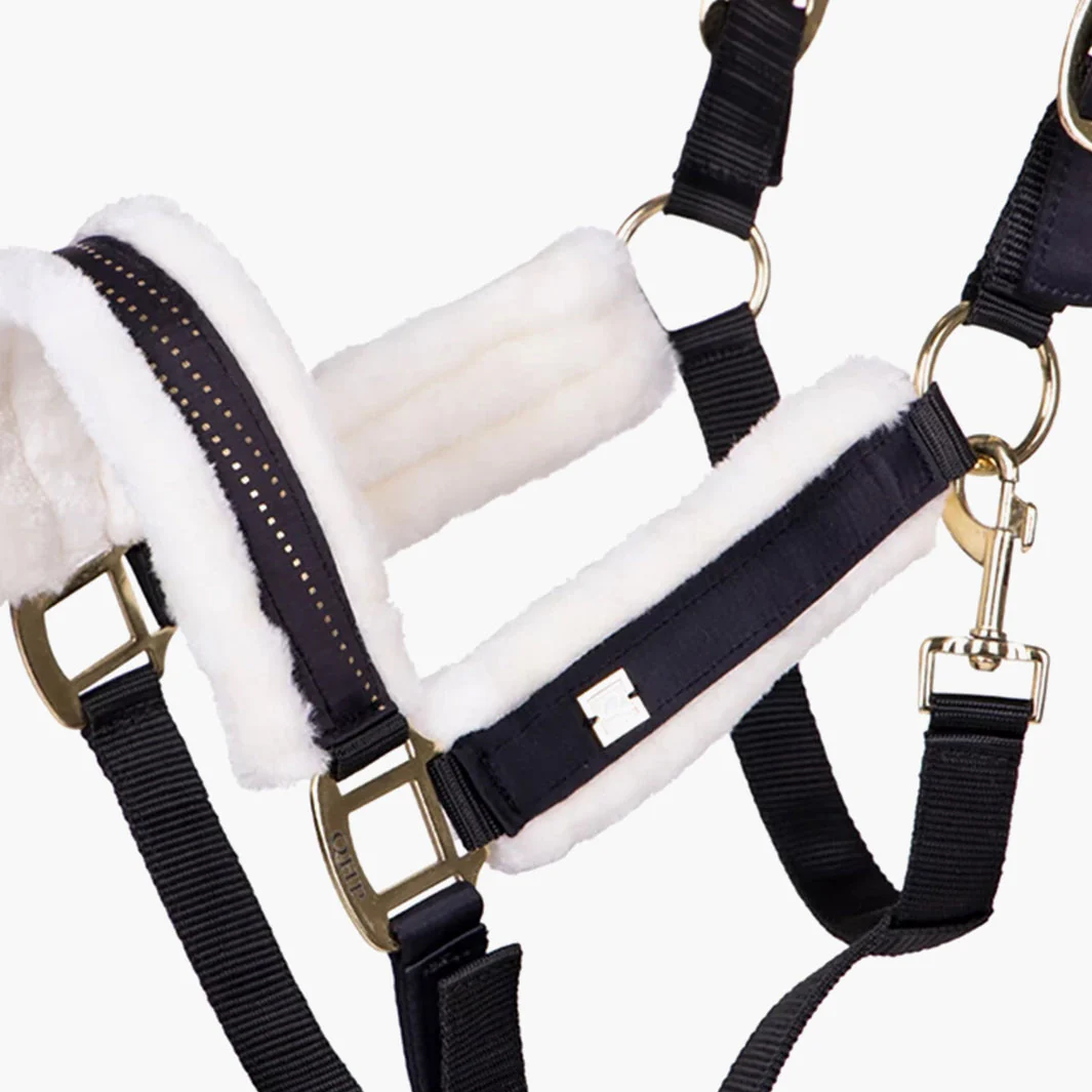 LICOL MENTON | QHP – Image 8